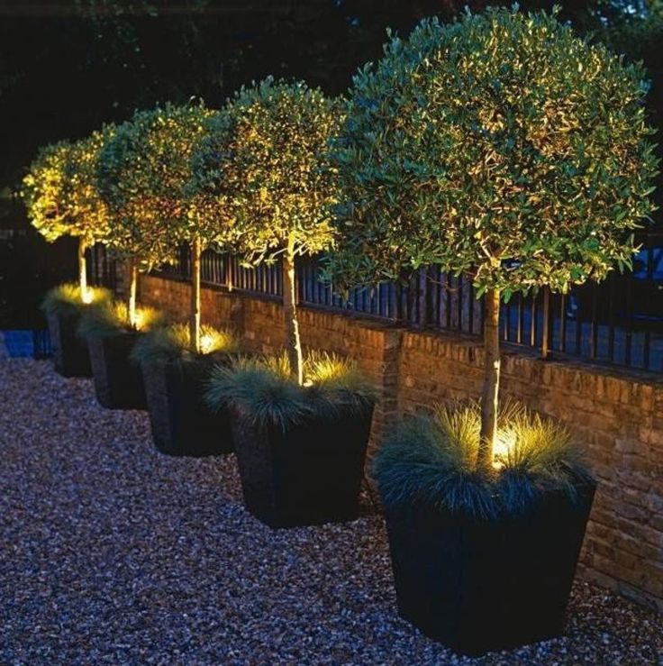 garden design lighting ideas photo - 6