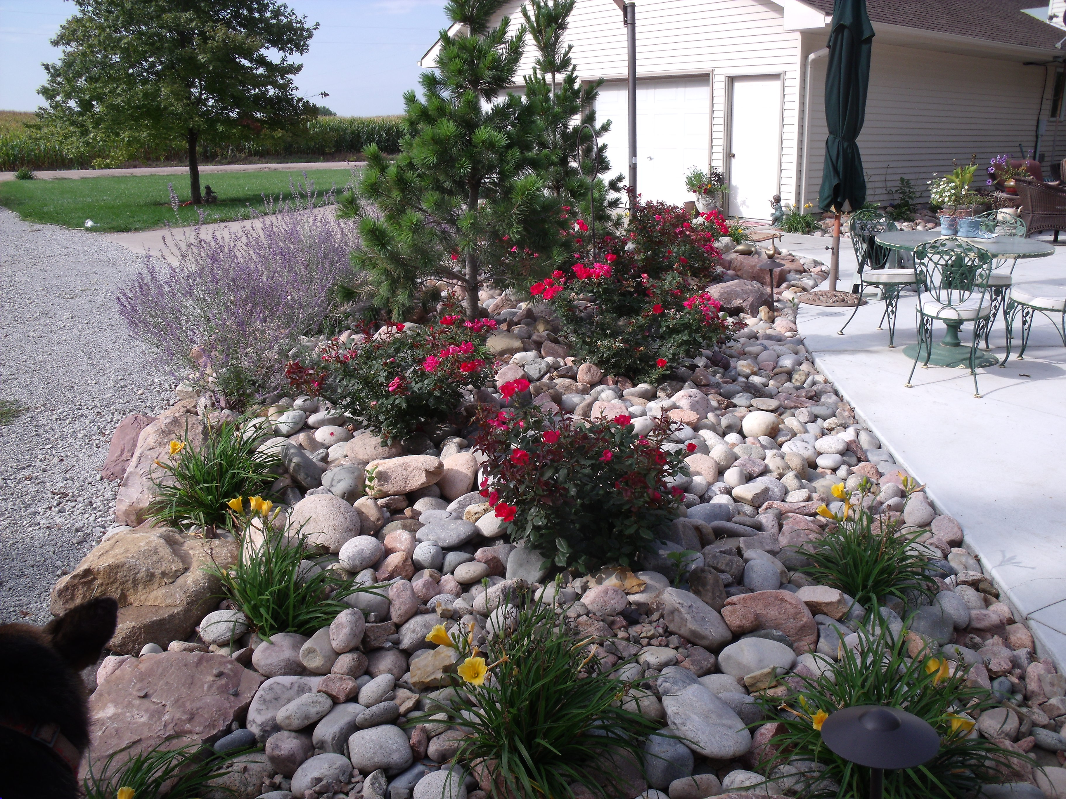 garden-design-rocks-ideas-hawk-haven