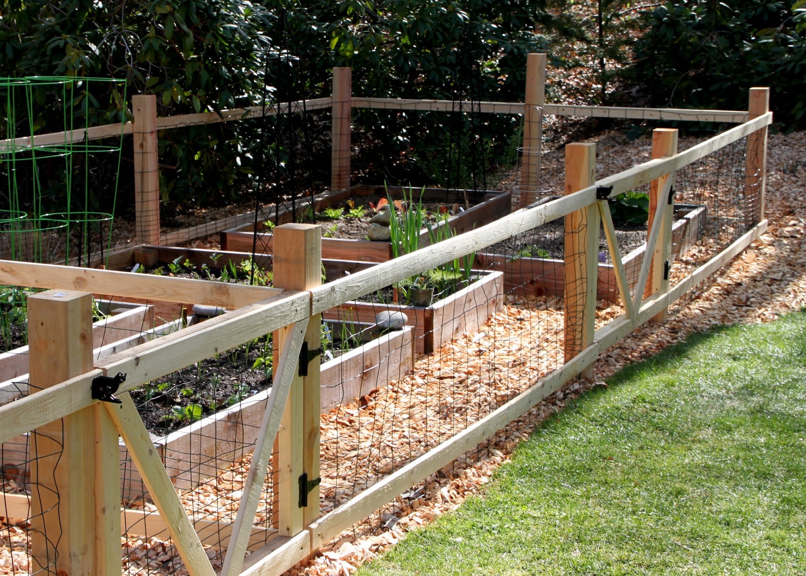 garden fencing ideas photo - 10
