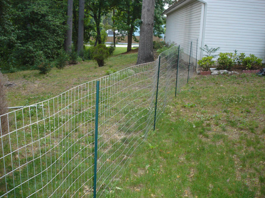 garden fencing ideas for dogs photo - 1
