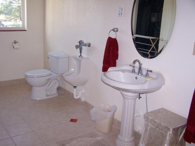home bathrooms with urinals photo - 5