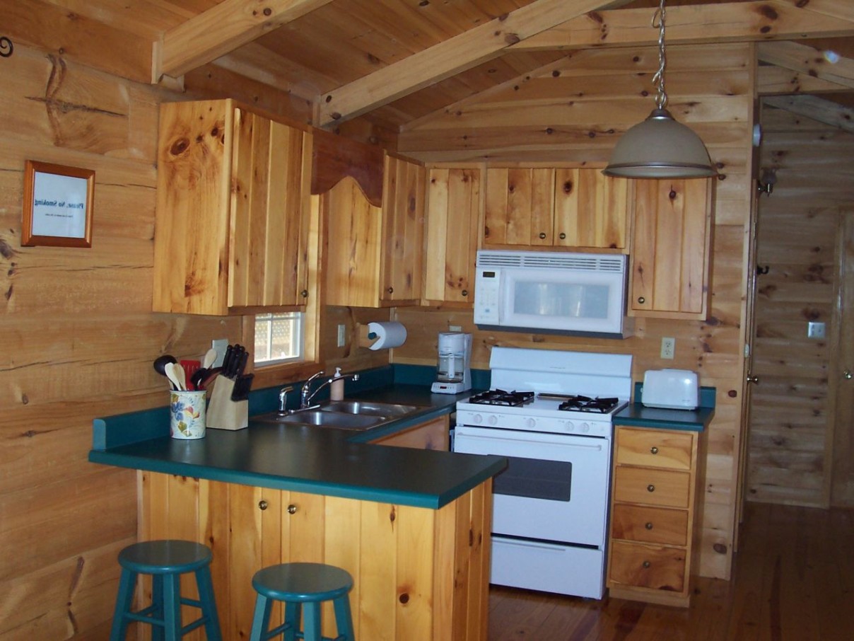 kitchen cabinet ideas for a cabin photo - 10