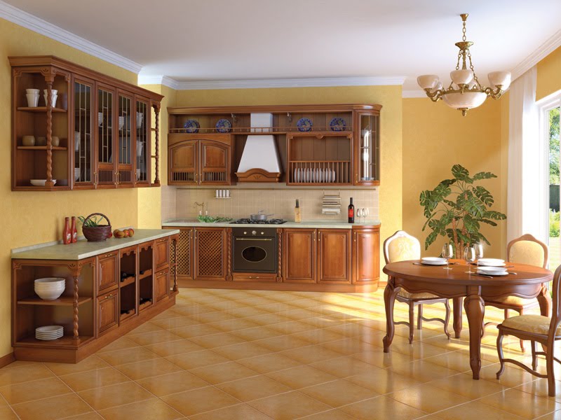 kitchen cabinet style ideas photo - 2
