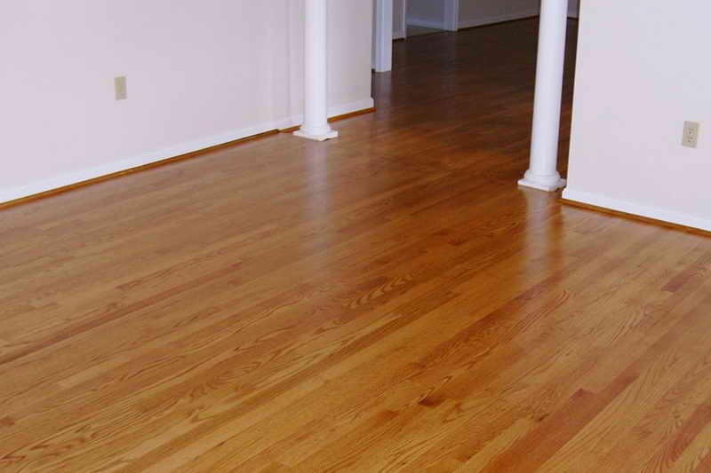 laminate wood flooring dogs photo - 7