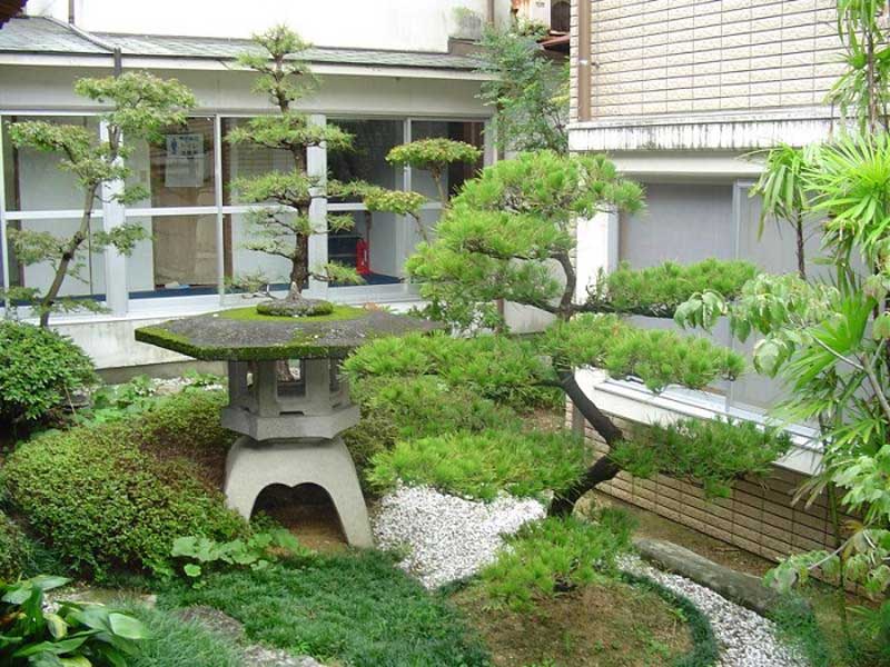 mini japanese garden design ideas photo - 3