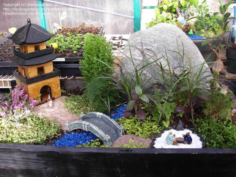 mini japanese garden design ideas photo - 9