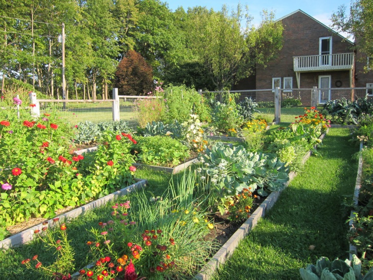 planning an urban vegetable garden photo - 1