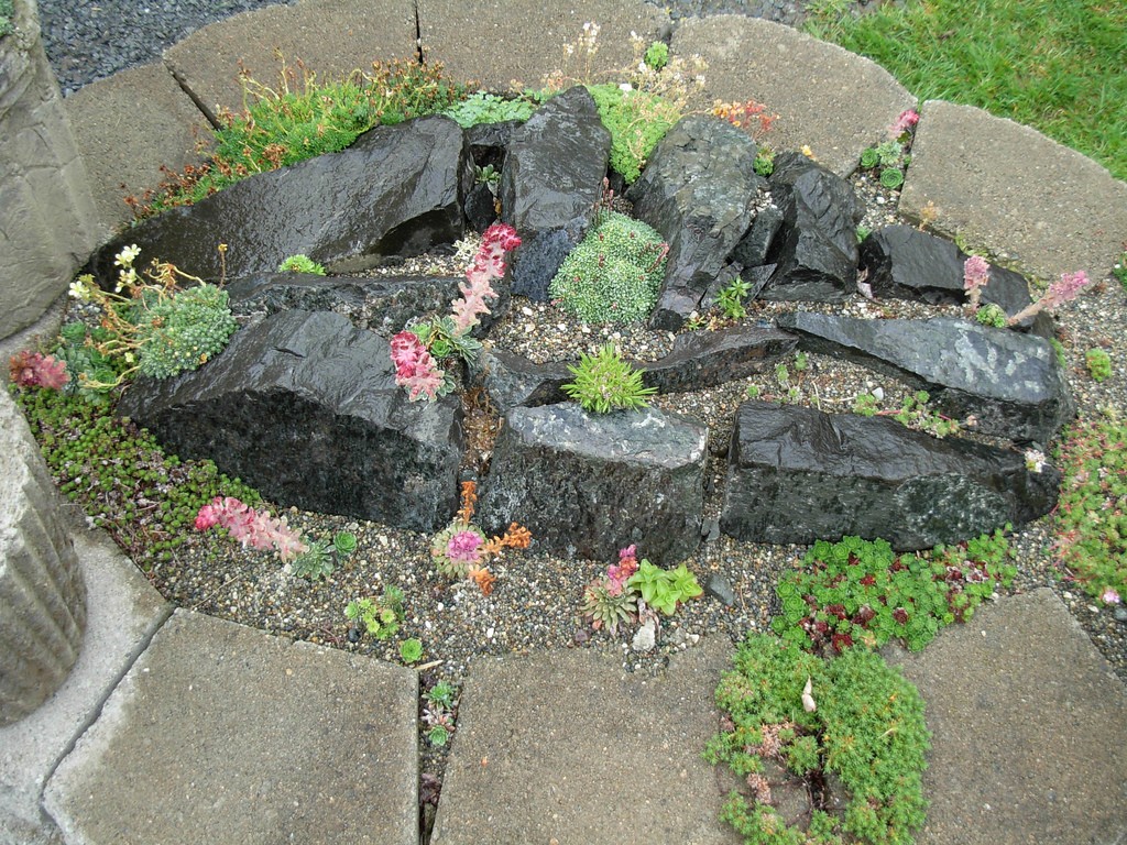 plants and shrubs for rock gardens photo - 5