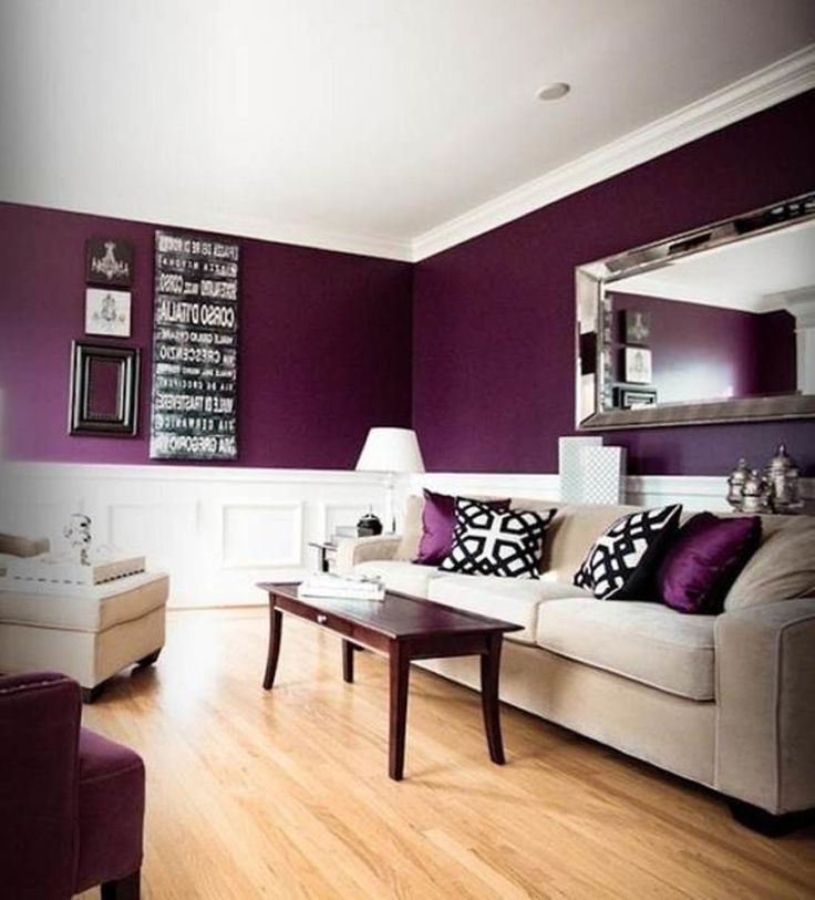 purple coloured rooms photo - 5