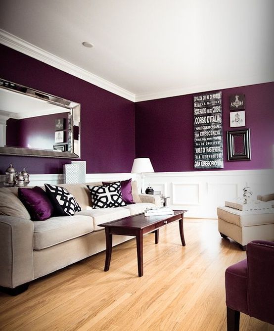purple coloured rooms photo - 7