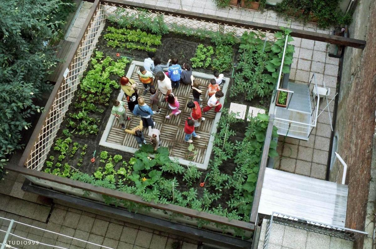 rooftop vegetable gardens photo - 6