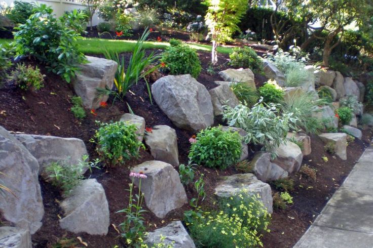 sloped rock garden ideas photo - 2
