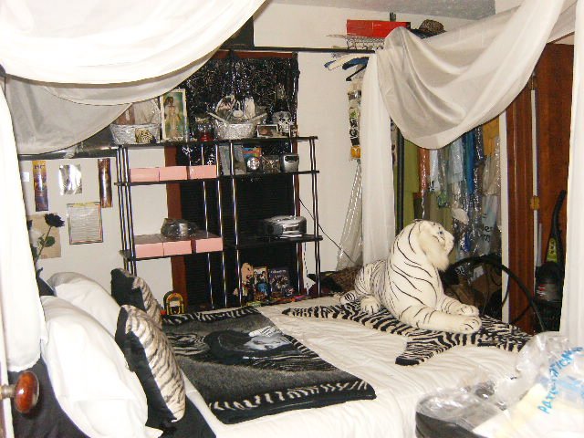 tiger print bedroom design photo - 10