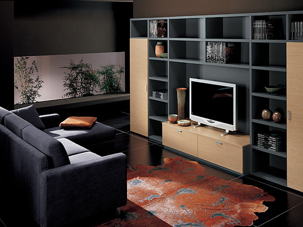 tv unit design ideas living room photo - 2