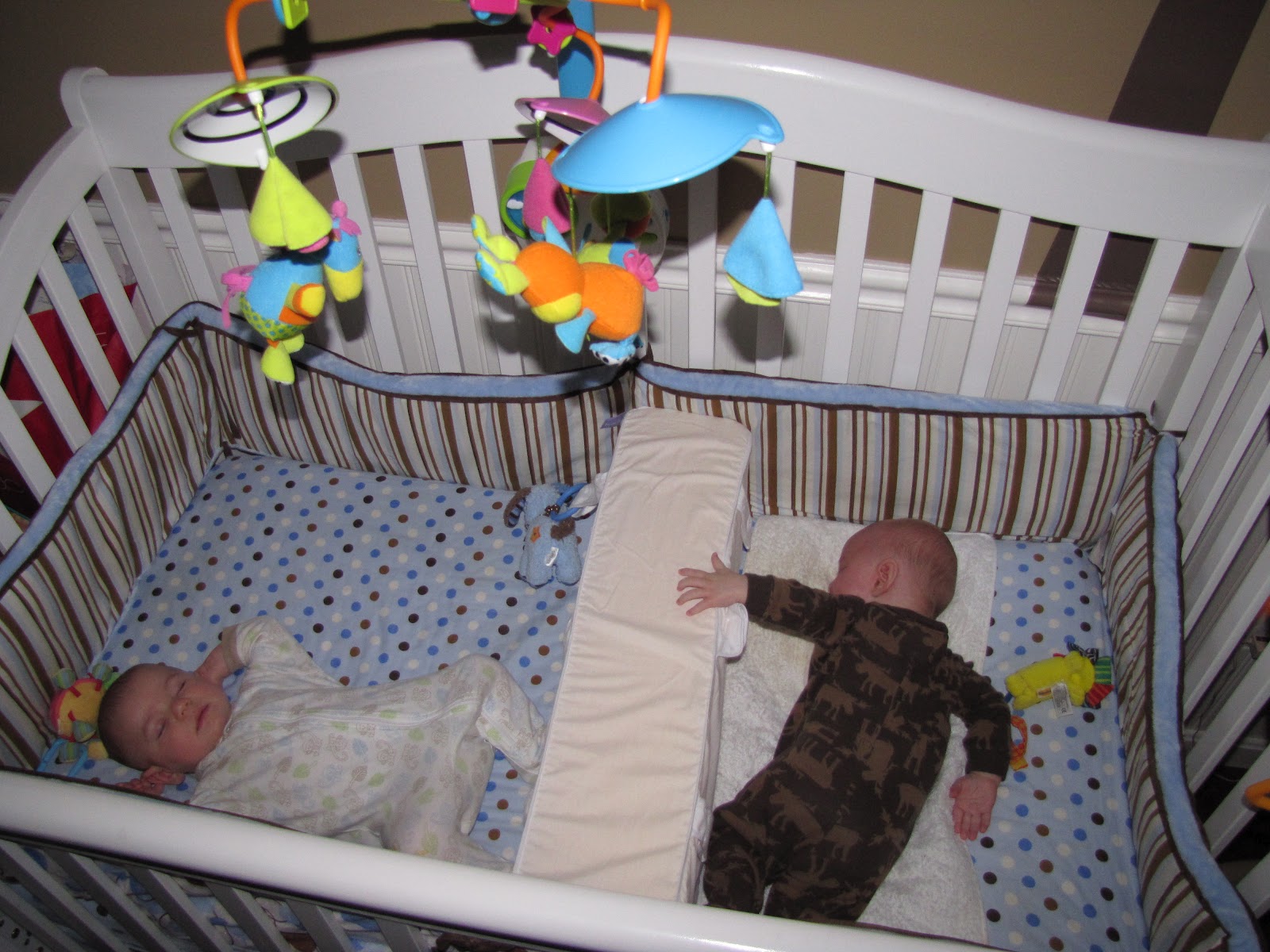 Crib Divider for Twin Baby - Hawk Haven