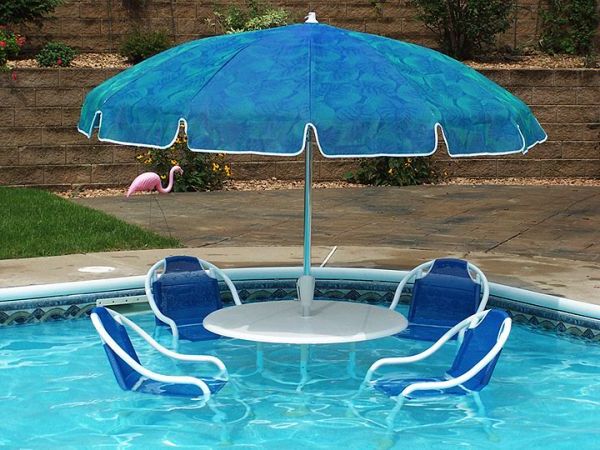 Unique swimming pool accessories | Hawk Haven