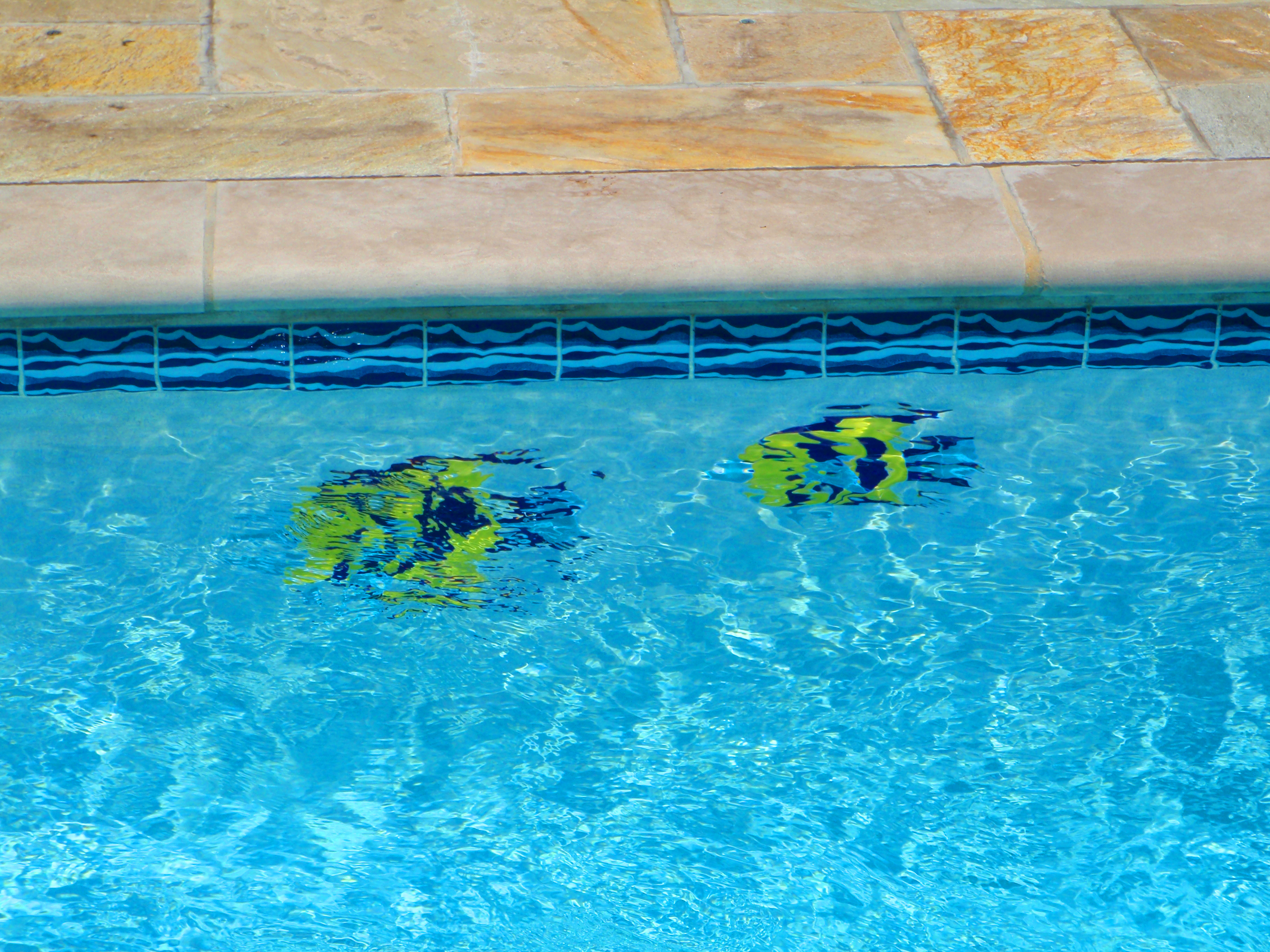 unique swimming pool tiles photo - 3