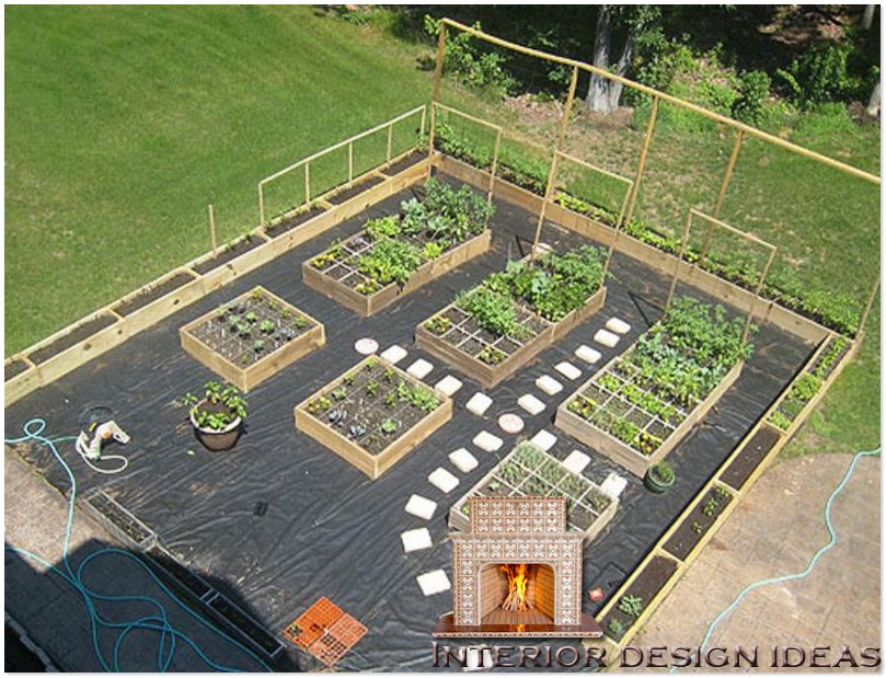 urban vegetable garden layout photo - 4