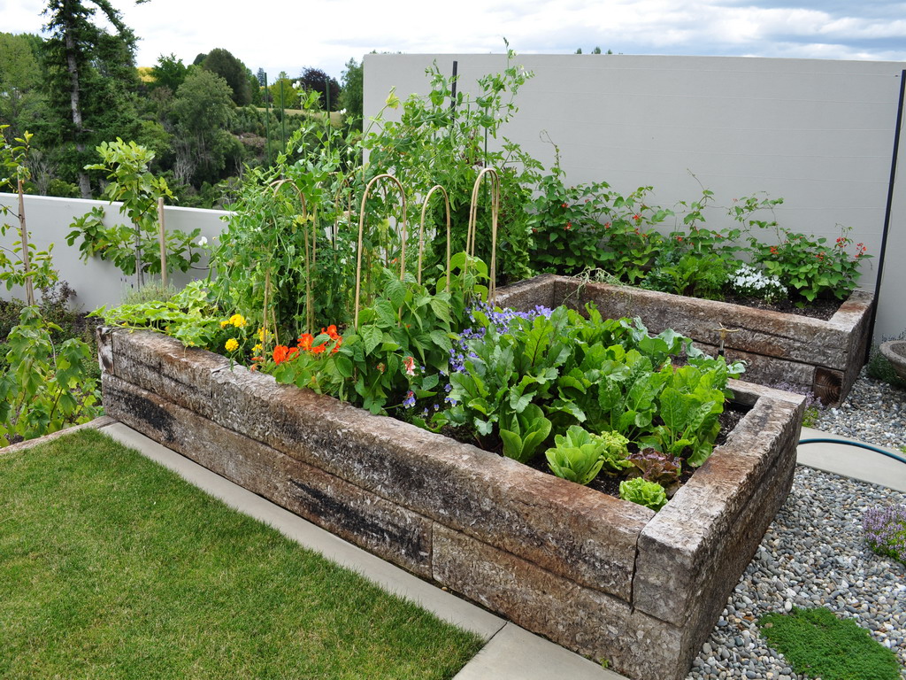 veg garden design ideas photo - 2