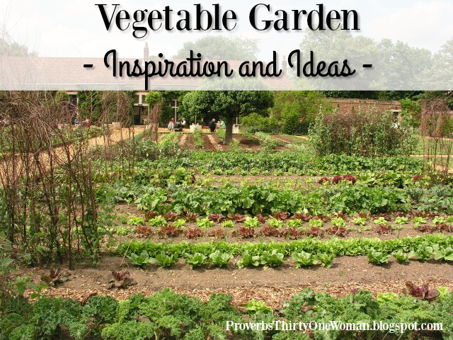vegetable garden bible photo - 8