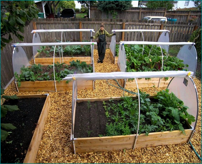 vegetable garden box ideas photo - 10