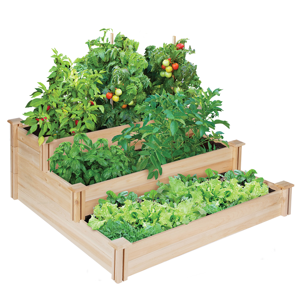 vegetable garden box kits photo - 3
