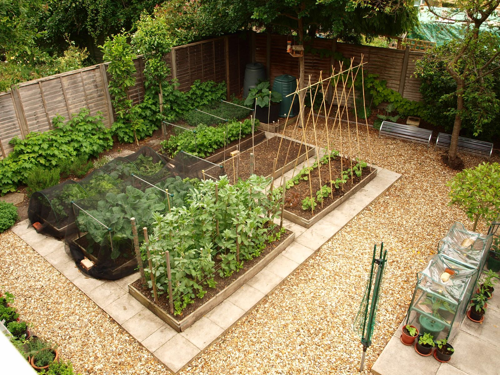 vegetable garden design photo - 2