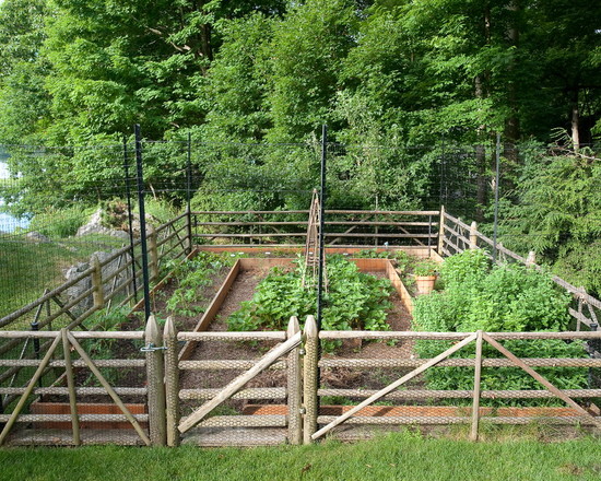 vegetable garden fence design photo - 10