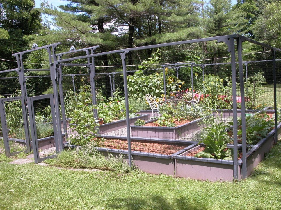 vegetable garden fence design photo - 3