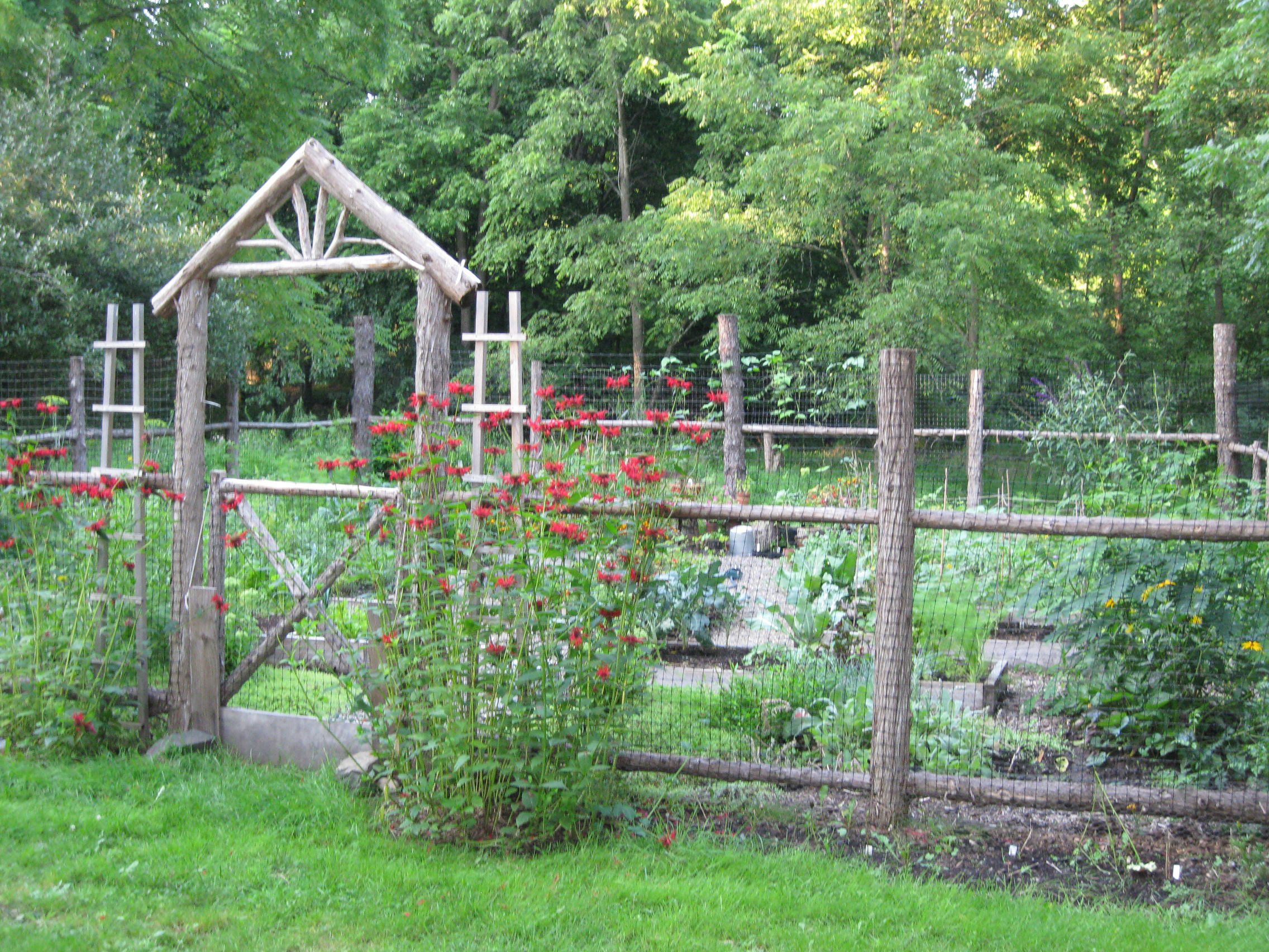 vegetable garden fence design photo - 8