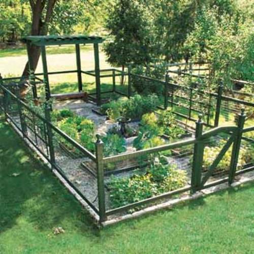 vegetable garden fence ideas photo - 5