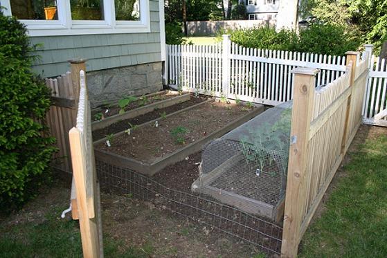 vegetable garden fence kit photo - 10