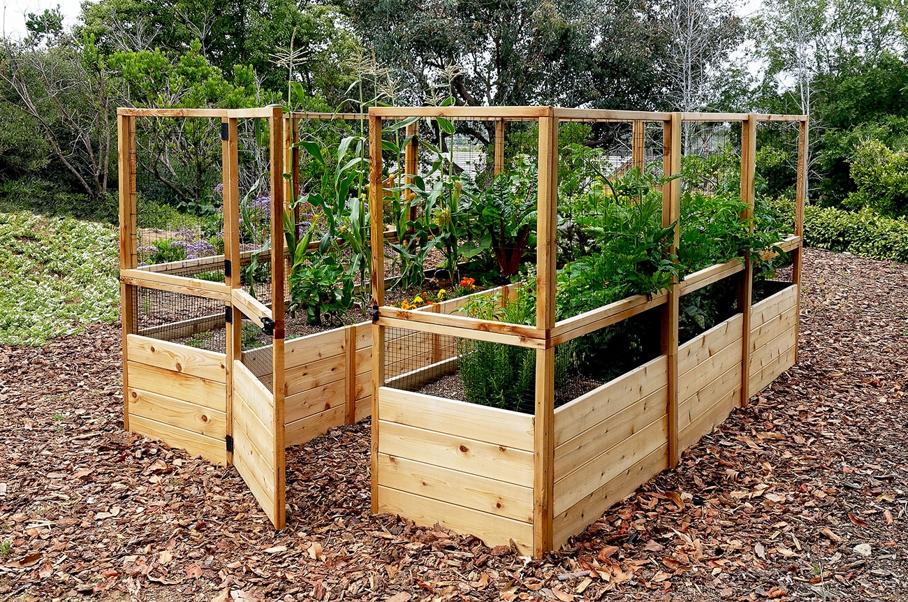 vegetable garden fence kit photo - 8