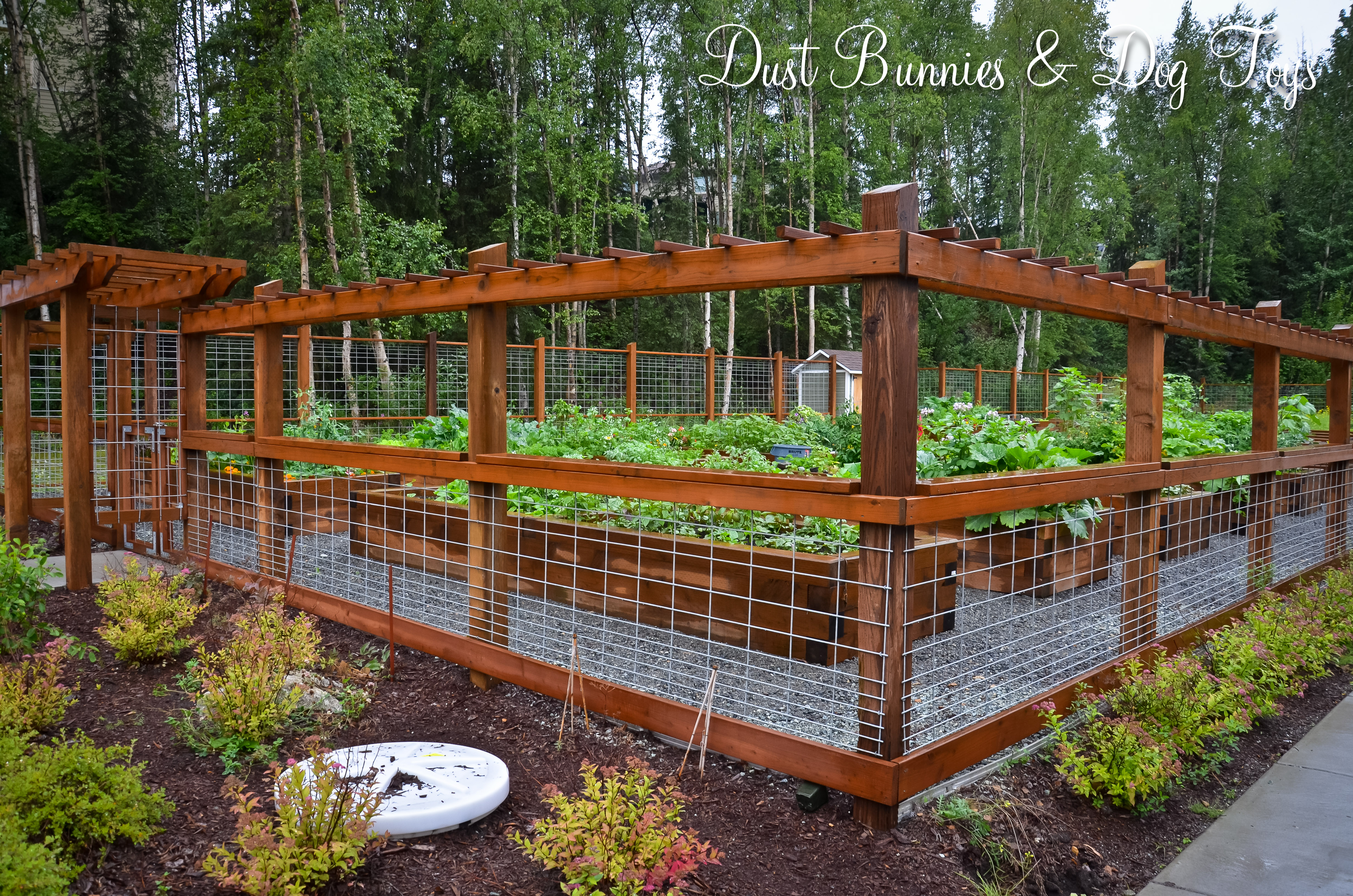 vegetable garden fence panels photo - 3