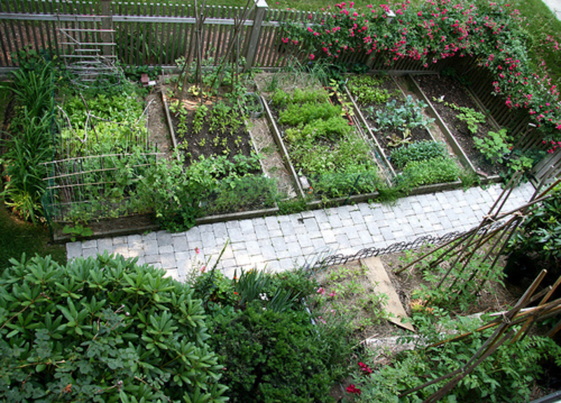 veggie garden design ideas photo - 5