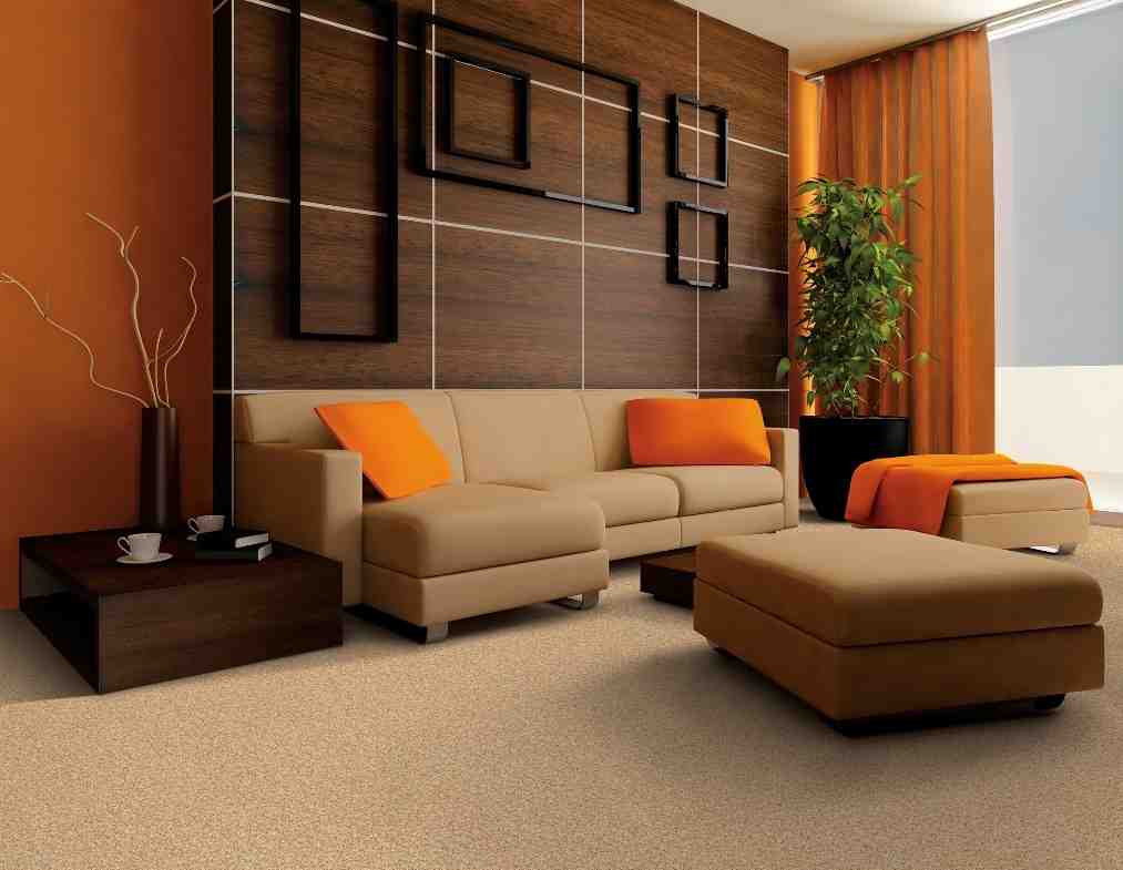 wall colour combination for living room photo - 4