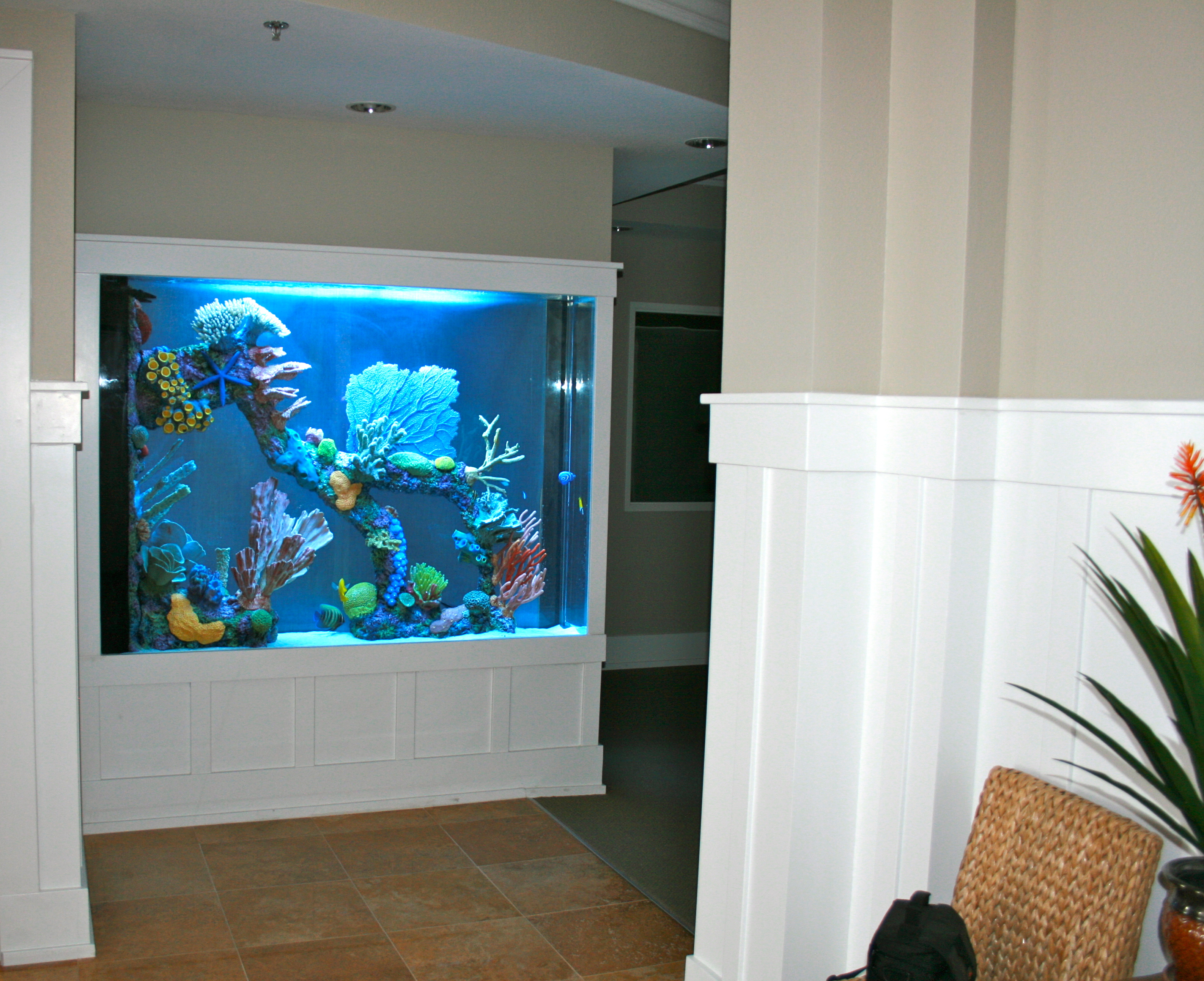 wall divider aquarium photo - 4