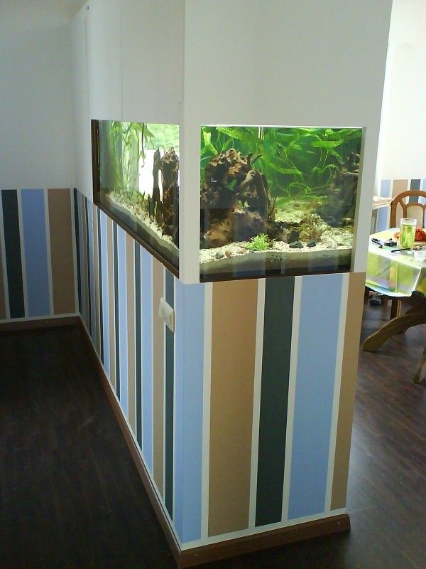 wall divider aquarium photo - 8