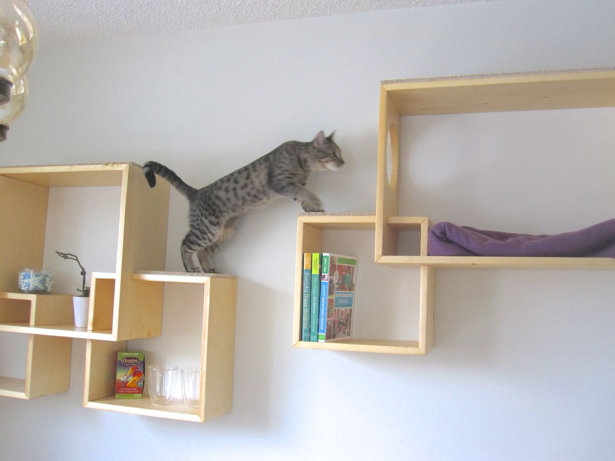 wall mounted shelves for cats photo - 10