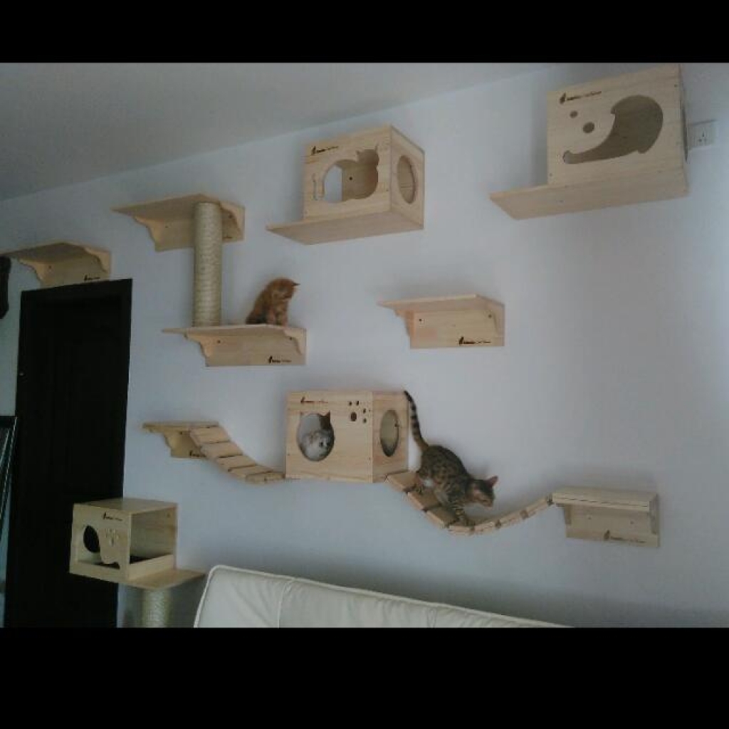 wall mounted shelves for cats photo - 3