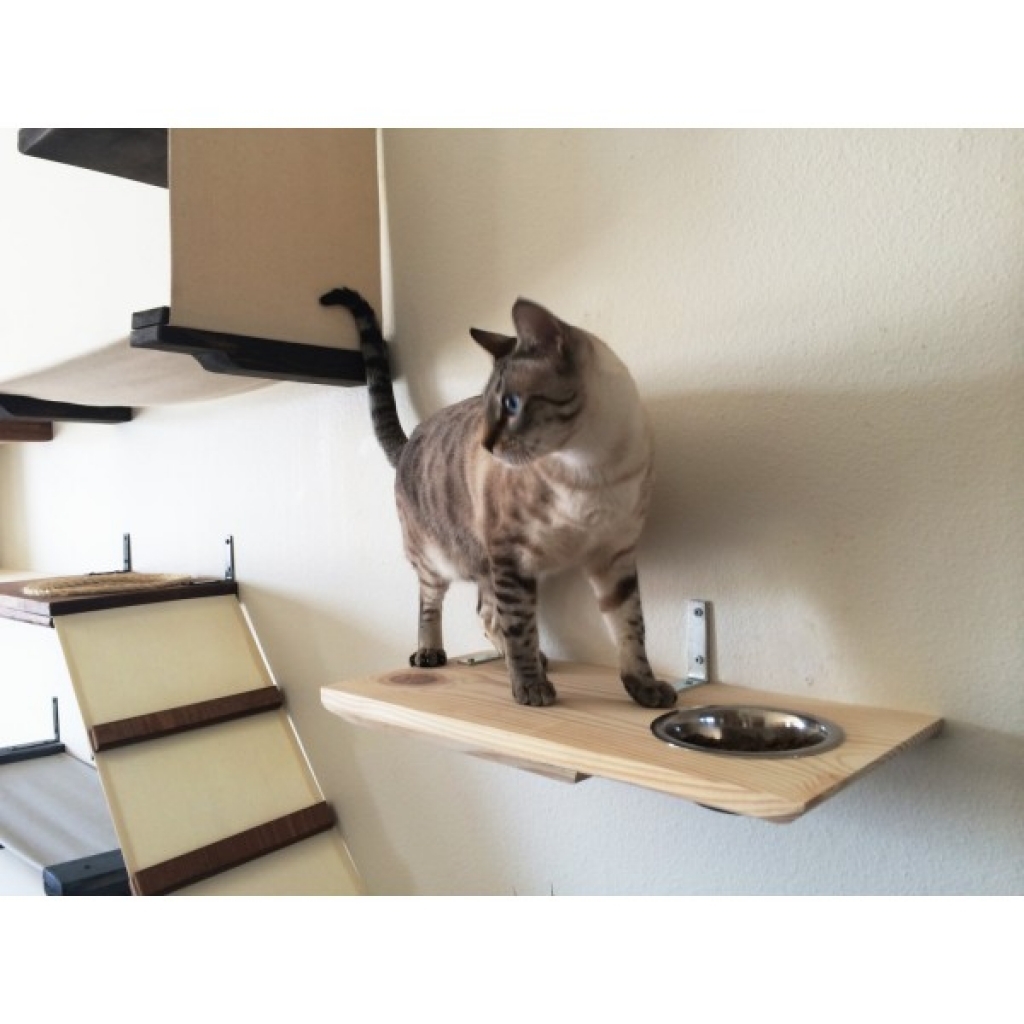 wall mounted shelves for cats photo - 6