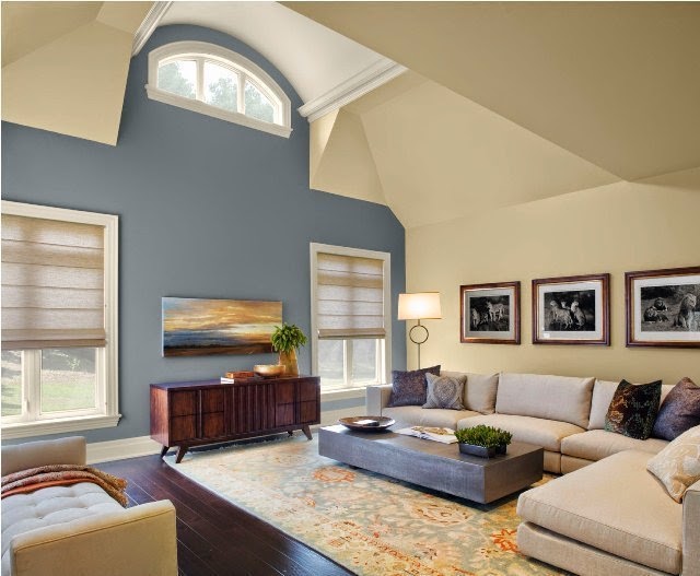 wall paint colors living room photo - 1